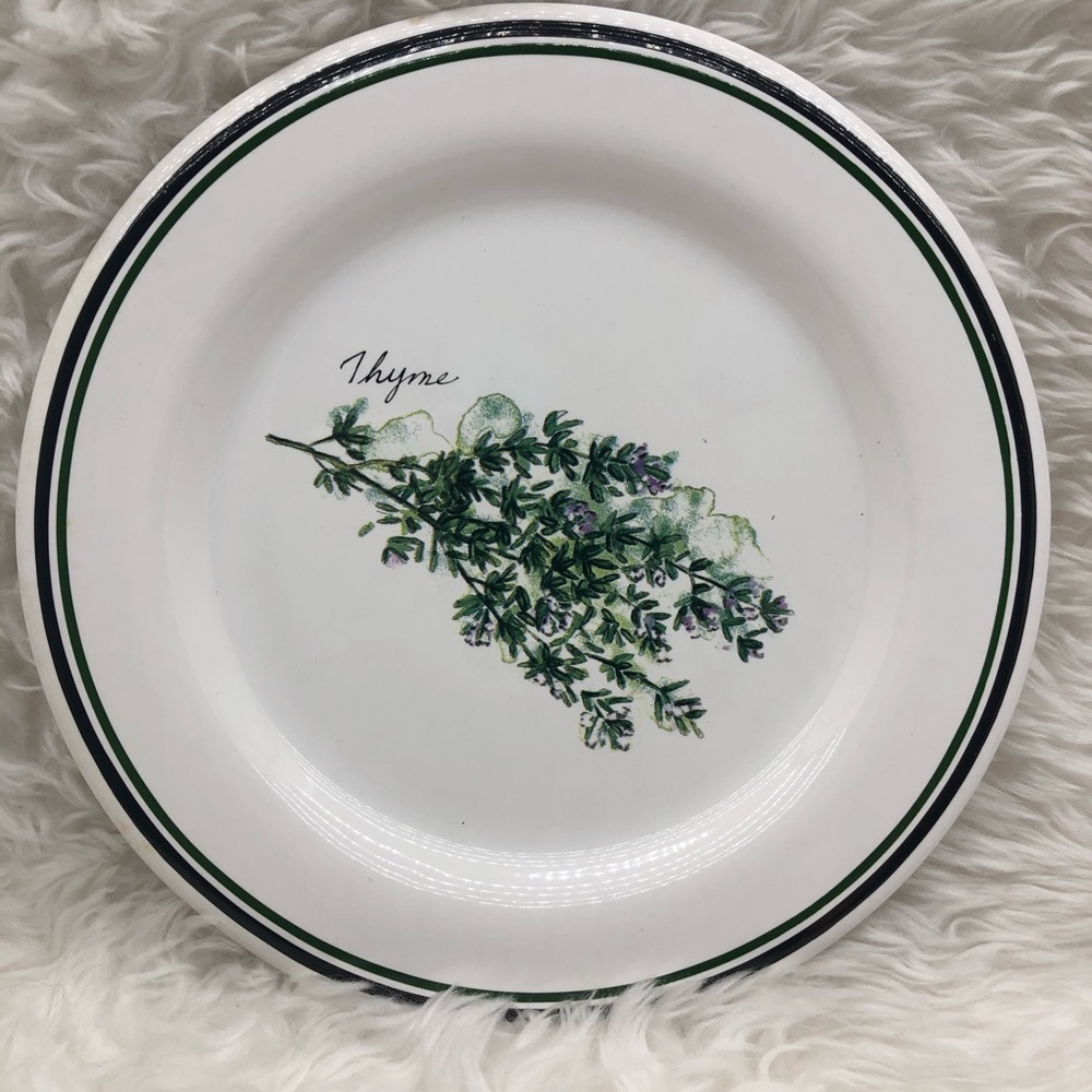 WILLIAMS SONOMA THYME PLATE